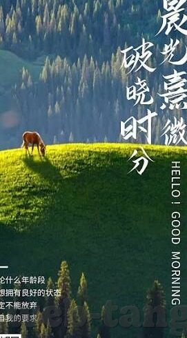 家庭教师伦理-家庭教师伦理，塑造未来之基的道德指南
