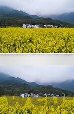 麻豆av在线视频-多元文化视野下的视听转变，麻豆AV案例剖析