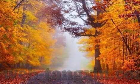 日韩免费av无码一级-日韩影视文化中的非成人内容探讨，界限与尊重
