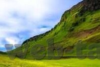 仙踪林果冻传媒-仙踪林果冻传媒，探索数字娱乐新境界的独特魅力