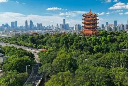 正在播放果冻传媒何苗-正在播放，果冻传媒何苗的魅力之旅
